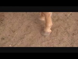 How to do a epsom salt soak