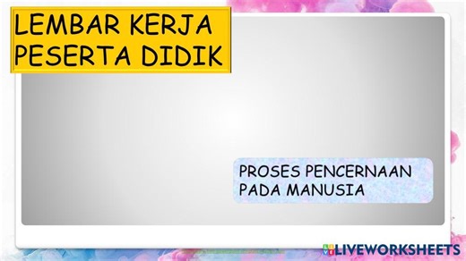 LKPD SISTEM PENCERNAAN