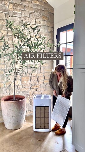 Comment link or link in my bio. It’s disgusting how dirty this air filter gets. If you do not have a UltraHEPA filter and proprietary dual-action Carbon VOC (Volatile Organic Compounds) filter than your lungs ARE the filter. The reasons I love this one captures allergens, dog dander, and other volatile organic chemicals like formaldehyde. CAPTURES PARTICLES 100Xs SMALLER THAN HEPA STANDARD air filters. 😨👏🏻 comment link for details | Thermaland Oaks