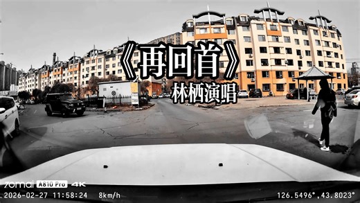 林栖用温柔嗓音唱尽人间情长，一入耳便再也难忘。