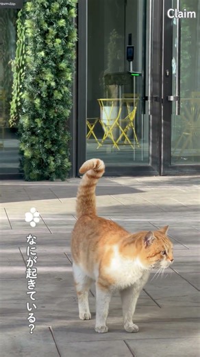 超心理現象研究のスタンス