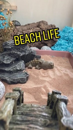 Beach Theme Hamster Cage Bedding for Ultimate Comfort