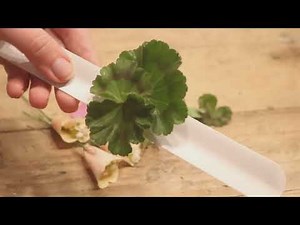 DIY Wrist Corsage with rolled rose petals - elegant and easy tutorial