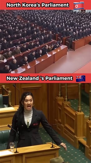 Bray Tonleu on Instagram: "This video compares parliamentary atmosphere and visual discipline as seen on camera in two very different legislative settings: North Korea’s Supreme People's Assembly and New Zealand’s New Zealand Parliament. 🔍 What the Cameras Show North Korea: • synchronized seating and applause • strict protocol and silence • highly choreographed proceedings New Zealand: • open debate and visible disagreement • spontaneous reactions and interruptions • strong expressions of disse