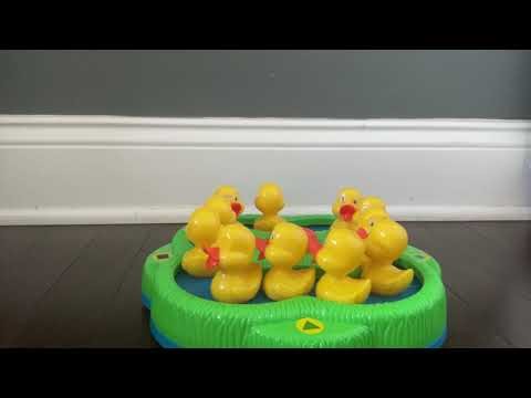 🦆 Duckies swimming in toy river
