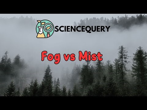 Fog vs Mist