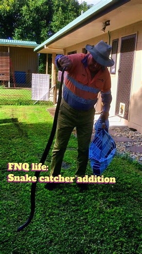 Snake Catcher. Whip Maker. Photo Taker. Book Creator. Just your average Tuesday. I tell ya. This man IS a legend. Today's his birthday, swing him a follow & make his day. #snake #Australia #grandpa #fyp #viralvideo