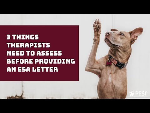 3 Things Therapists Need to Provide Before Providing an ESA Letter
