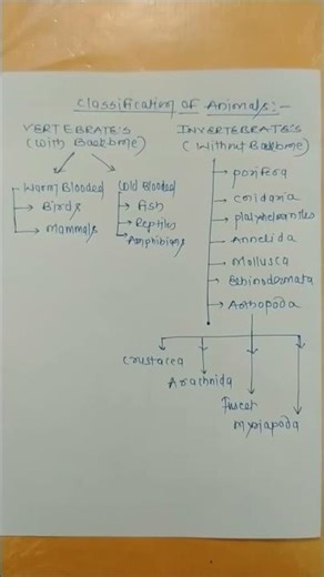 classification of Animals | Zoology Questions | Biology shorts
