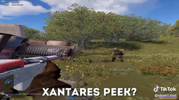 Rust Gameplay: Surviving in a Multiplayer Universe