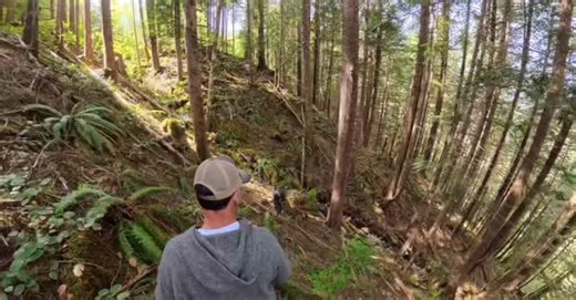 Early bird gets the worm ! Steep’n deep for the secret trail camera drops. Hiked 3 new locations looking for elusive huge #roosevelt OR #blacktaildeer This monster valley crossing trail is going to produce ‘something’ without a doubt. #gamecameras #trailcamera #deerhunting #elkhunting #howtohunt | Proguide66, Steve Isdahl