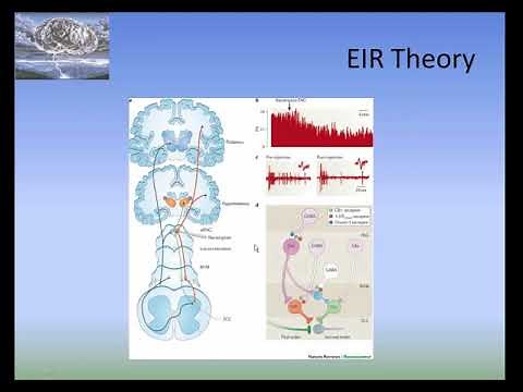 STN Webinar: Paroxysmal Sympathetic Hyperactivity