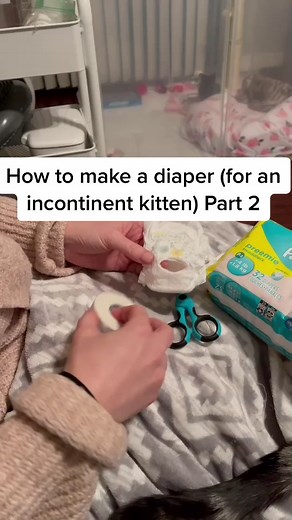 DIY Diaper for Kittens: Step-by-Step Guide