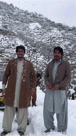 Captivating Snow Fall Scenes for Relaxation