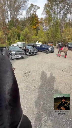 #caballo #richmond 🫶🏻🐴 | cavallo