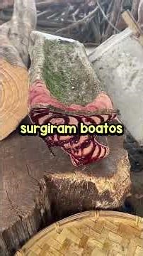 What was the worst announcement your school ever made?