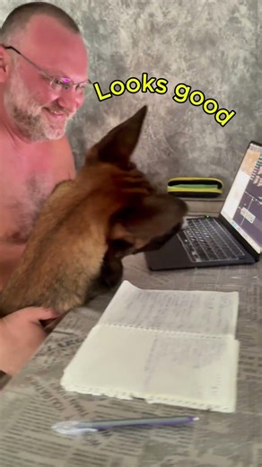 Dog Life Director