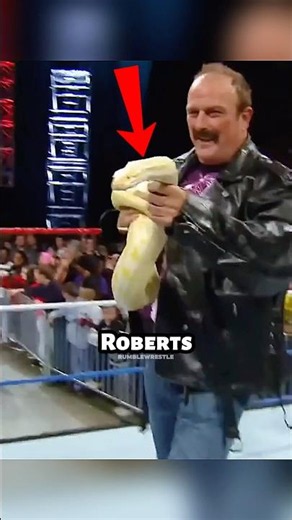 Jake Roberts’ Snake Put These WWE Superstars in Danger? #wwe #romanreigns #johncena #snake #animals