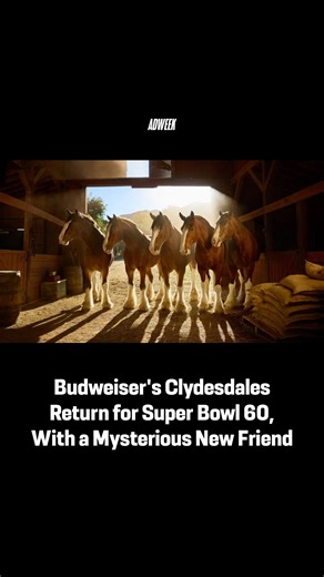 The iconic Clydesdale horses are back! Budweiser is returning to the Super Bowl with its 48th national spot, celebrating its 150th anniversary. We'll have to wait until February 8 to find out what's inside the bucket, but according to the spot, heads will turn. https://bit.ly/3LMLWLa | Adweek