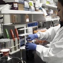 Video: An In Vitro Batch-culture Model to Estimate the Effects of Interventional Regimens on Human Fecal Microbiota