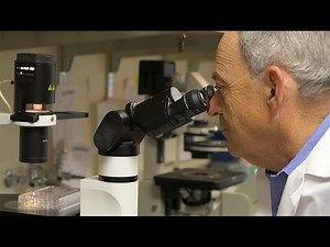 Taking on Friedreich's Ataxia