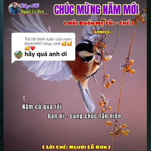 Nhạc Chế Năm Mới: Nỗi Buồn Mẹ Tôi