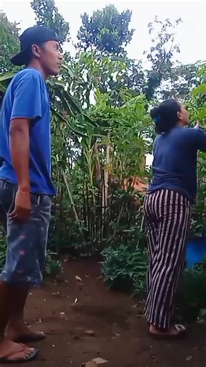 Golekne Ramban Karo Dik Bojo: Hiburan TikTok