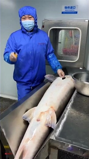 fish viral video 🤣 #funny #funnyvideo