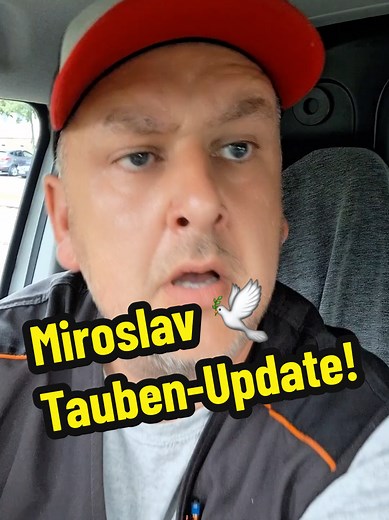 Die erfolgreiche Rettung von Miroslav, der Taube