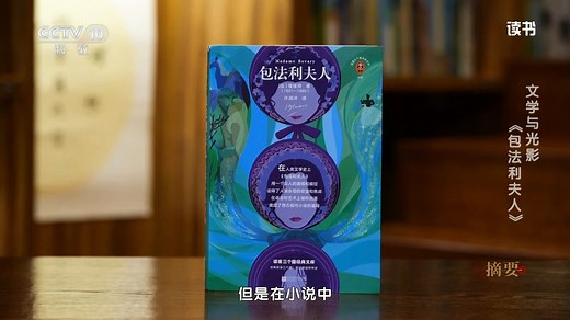 "包法利夫人"的永恒困境：从文学经典到银幕重构