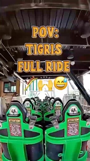 POV: Tigris Full Ride 🙌😱 #rollercoaster #themepark #family #buschgardens