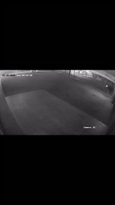 A vehicle chasing a pedestrian early Sunday at an auto shop near Senor Tequila’s breaking through and damaging two chained gates … they’ll be looking at comments if anyone has any information on this … | Our Town Reno