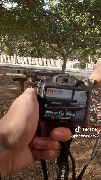 Fujifilm Finepix S2950: Versatilidad en Fotografía