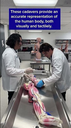 Nursing students immerse themselves in the Cadaver Lab, using synthetic cadavers! 💀