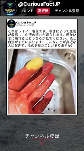 初めて見る人は驚くかもしれない 🥶 😮