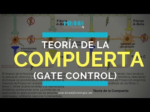 Teoría de la Compuerta o Puerta de Entrada (Gate control) | Miranda Fisioterapia BLOG