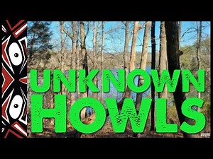 Eerie Haunting Sasquatch Vocalizations - [AUDIO ANALYSIS by ThinkerThunker]