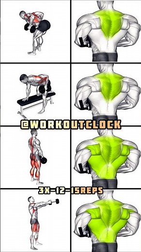 Best Dumbbell Back Workout | 4 Effective Moves for Strength & Muscle Growth