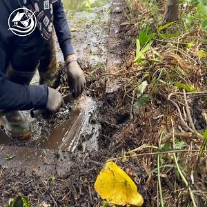 2.7M views · 10K reactions | CLEAN UP to revive abandoned storm house - SHOCK TRANSFORMATION | Clean Up TV | Facebook