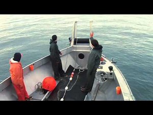 Alaska Fish Wars on Nat Geo Wild HD (ch 356)