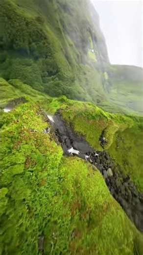 (Cinematic & Universal)“The View From Above 🌍 | Stunning Aerial Perspective”