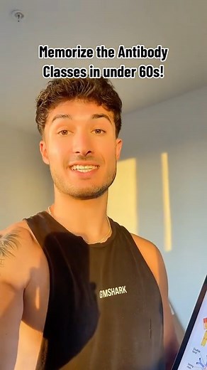 Study Smarter with MedSchoolBro on Instagram: "Memorize the Antibody Classes in under 60s! Save this for your next exam! #fyp #medstudent #medicalstudent #medschool #premed #premedstudent #antibodies #physiology #studyhacks #medicalschool #whitecoat #immunology #usmle #pance #boards #nclex #study #studygram #student #studymotivation"