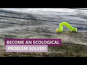 Master degreee program in Landscape Ecology at the University of Hohenheim