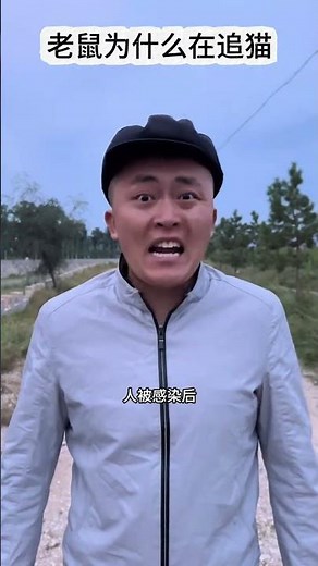 Why Does the Cat Chase the Mouse? Unraveling the Feline Pursuit