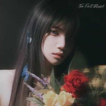 forget-me-not