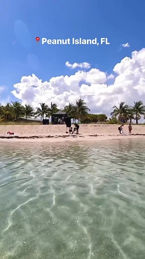 5.9K views · 82 reactions | Another gorgeous day on Peanut Island! How many fish can you count?! ✨#ThePalmBeachesPeanut Island — West Palm Beach, FL @palmbeachesfl | Discover The Palm Beaches | Facebook