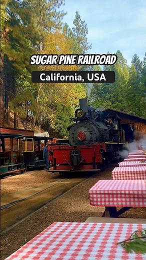 Experience Yosemite Mountain Sugar Pine Railroad, USA for a scenic steam train ride 🇺🇸 #shorts