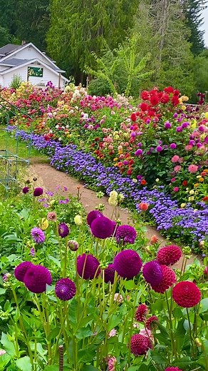 Garden for inspiration for next growing season. | The Garden of Eden