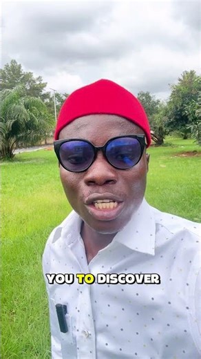 Use Atravelikes website. The cheapest platform for hotel reservations. https://www.atravelikes.com