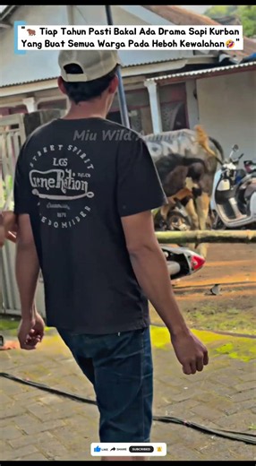 🐂SAPI RUSUH SEBELUM DIKURBANKAN! BIKIN SEMUA WARGA PADA HEBOH BANGET😱 #sapi #cow #kurban #ngakak